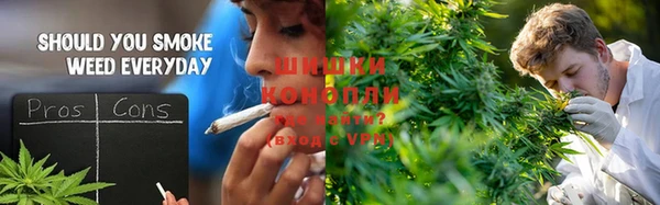 прущие крисы Армянск