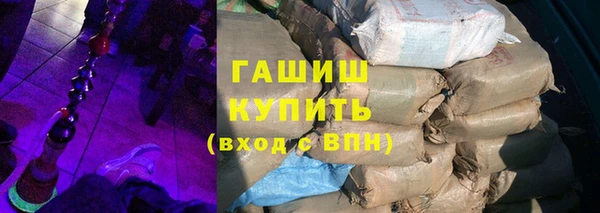 хмурый Арсеньев