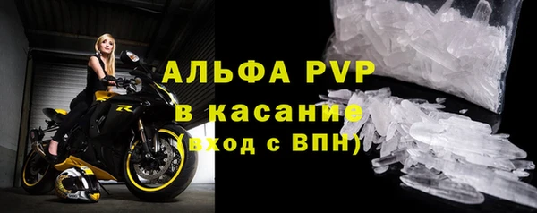 хмурый Арсеньев