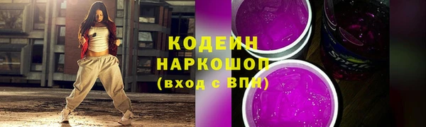 хмурый Арсеньев