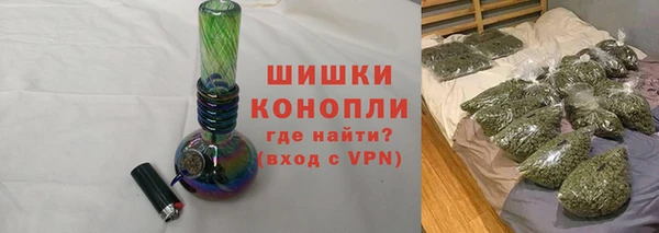 хмурый Арсеньев