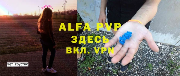 хмурый Арсеньев