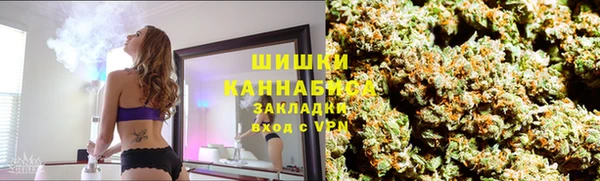 хмурый Арсеньев