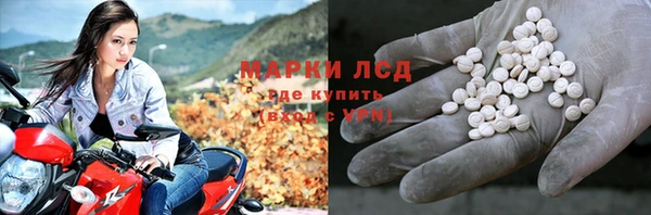 хмурый Арсеньев