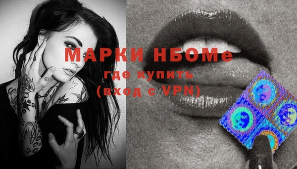 хмурый Арсеньев