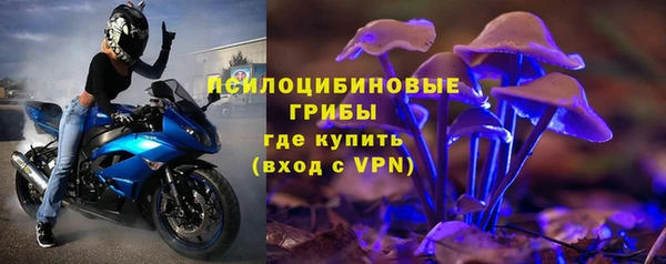 хмурый Арсеньев